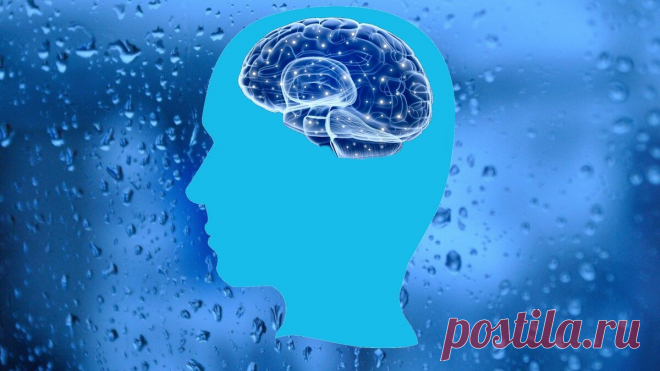 Тест на внимание и остроту памяти: "Профилактика болезни Альцгеймера"