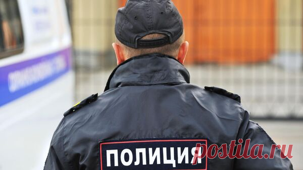 В Петербурге задержали зацепера, проехавшегося между вагонами "Сапсана"