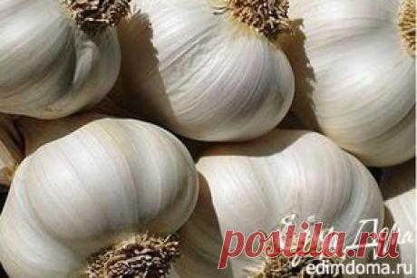 Рецепты приготовления вкусных блюд в пароварке Philips, Tefal, Polaris, Braun, Bork