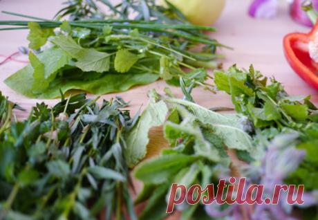 Условное голодание по Марве Оганян: описание, особенности и схема