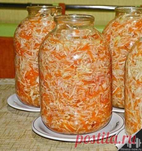 Самая простая и вкусная квашеная капуста — Fitness Сейчас