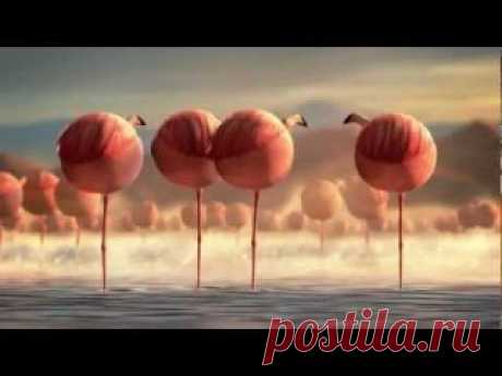 Қазақтың баласы ♕