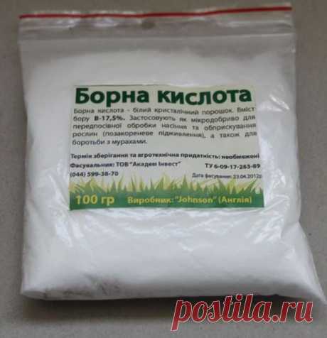 Борная кислота на даче - в помощь! - Экологическое землетворчество | Экологическое землетворчество