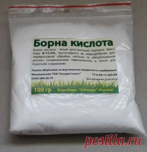 Борная кислота на даче - в помощь! - Экологическое землетворчество | Экологическое землетворчество