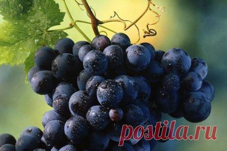 Мой Мир@Mail.Ru