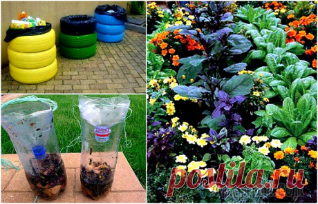 15 практичных хитростей, которые полезно знать каждому дачнику 

Трудится на своем дачном участке совсем не просто. Работа на земле требует внимания, аккуратности и целеустремленности, готовности тратить достаточно много времени и сил для достижения результата. Т…