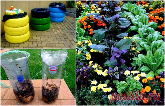 15 практичных хитростей, которые полезно знать каждому дачнику 

Трудится на своем дачном участке совсем не просто. Работа на земле требует внимания, аккуратности и целеустремленности, готовности тратить достаточно много времени и сил для достижения результата. Т…