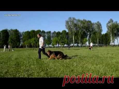 Команда «рядом», продолжение | Урок 8 видеокурса «Растем вместе»