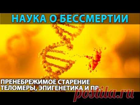 Наука о вечной жизни (теории): технический и биологический способ стать бессмертным, возможно ли? - YouTube