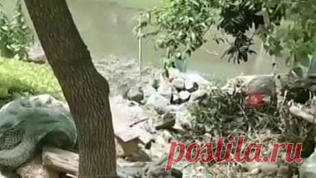 Мама не бросит ребенка в беде