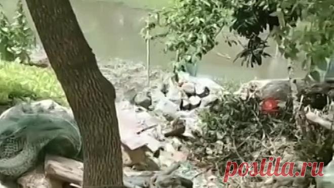 Мама не бросит ребенка в беде