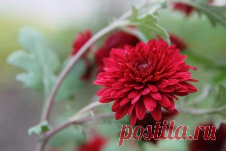 Фото – Google+
