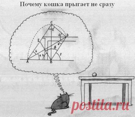 Дизайн интерьера