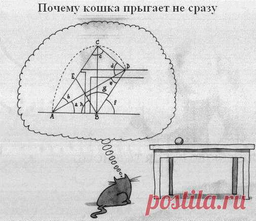 Дизайн интерьера