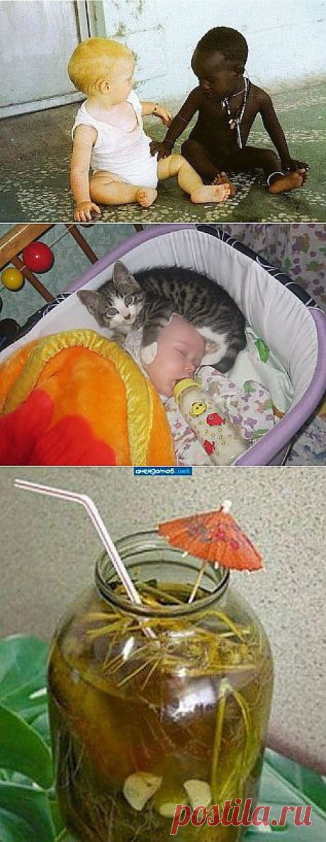 (1) Одноклассники