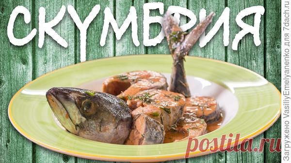 Божественная маринованная скумбрия. Видеорецепт