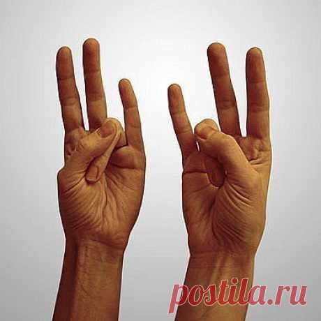 ღБлагодаря использованию мудры «Окно мудрости» удается открыть доступ к жизненно важным резервам организма. Это упражнение улучшает кровообращение мозга, способствует развитию мыслительных и интеллектуальных способностей, гармонизирует мыслительные процессы и процессы восприятия, анализа и переработки информации. На тонком плане выполнение мудры гармонизирует работу Манипура-чакры, открывает жизненно важные энергетические центры.