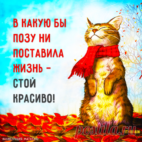 Совет дня: