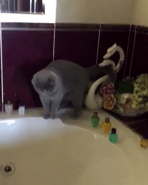 (9) Мой Мир@Mail.Ru