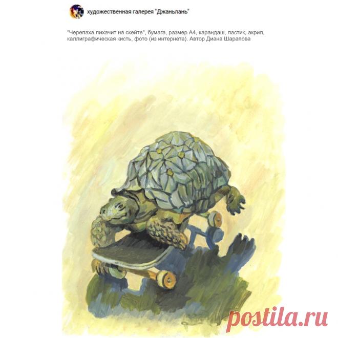 раздел "черепахи"