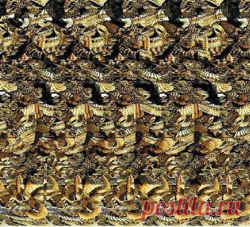 Зрительная гимнастика