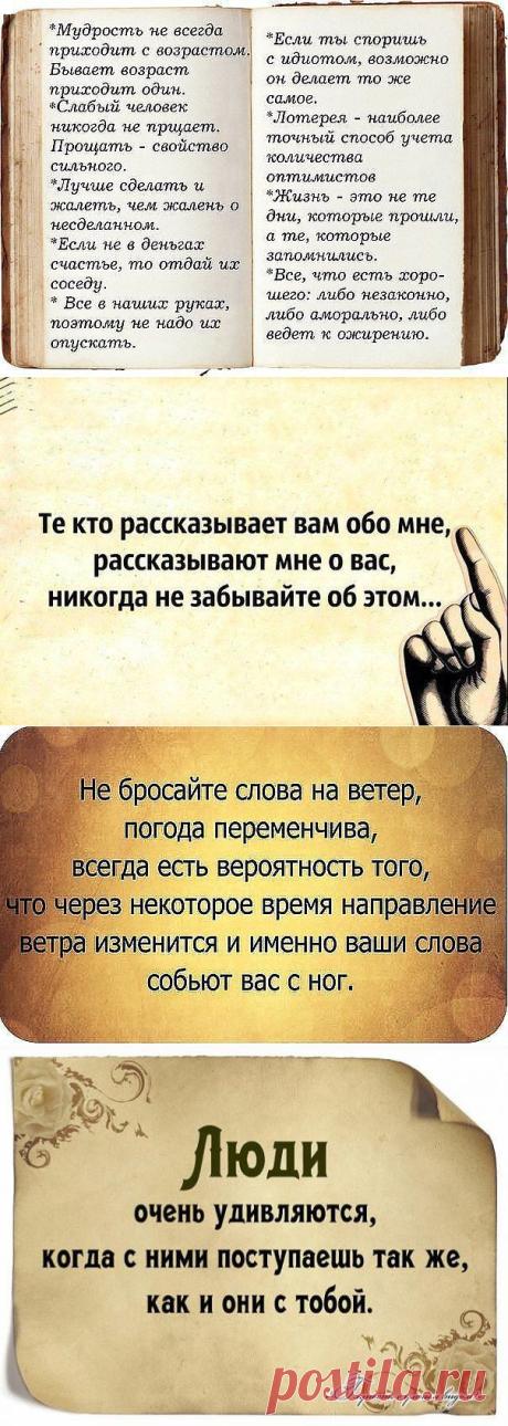 От мудрости до истины....