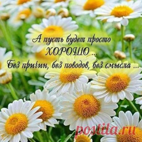 У счастья нет предназначения.
Рецептов точных тоже нет.
Есть море, ветра дуновение.
Тепло любви и солнца свет...
Сон безмятежный,миг прекрасный,
Осуществление мечты...
Пускай придёт такое счастье,
Какое ждёшь и ищешь ты!