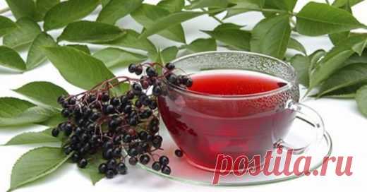 Морс из черной смородины – витаминный напиток для взрослых и детей