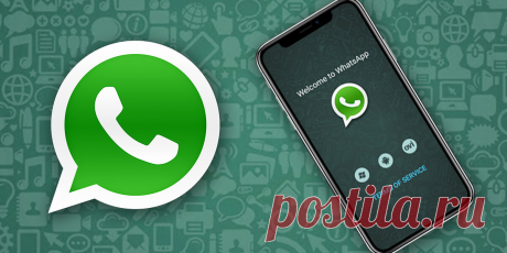 Функция WhatsApp, о которой мало кто знает — Вы можете прослушать сообщение перед отправкой | Mr.Android — эксперт по гаджетам | Дзен