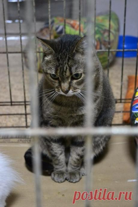 Москва! 5 ЛЕТ КОТЯ - ЖИВЕТ В СТРАДАНИЯХ !!!! НЕУЖЕЛИ ЭТО ПРИГОВОР?