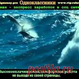 Интересные новости