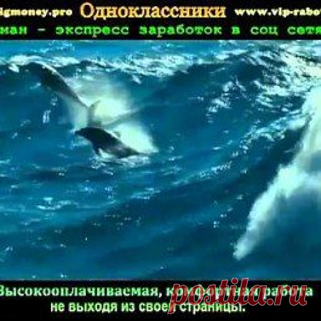 Интересные новости