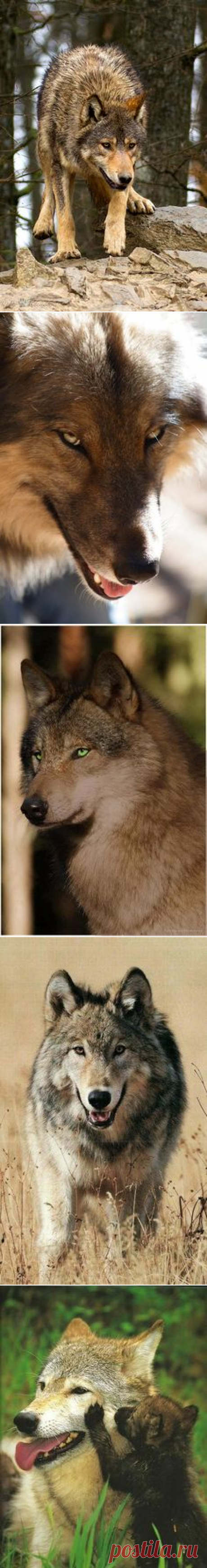 Pinterest • Всемирный каталог идей