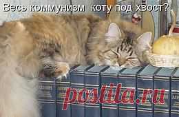 Живая природа