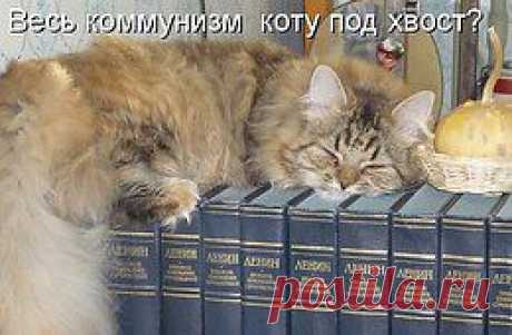 Живая природа