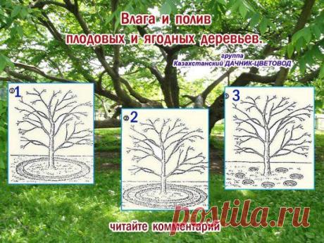 (1) Одноклассники