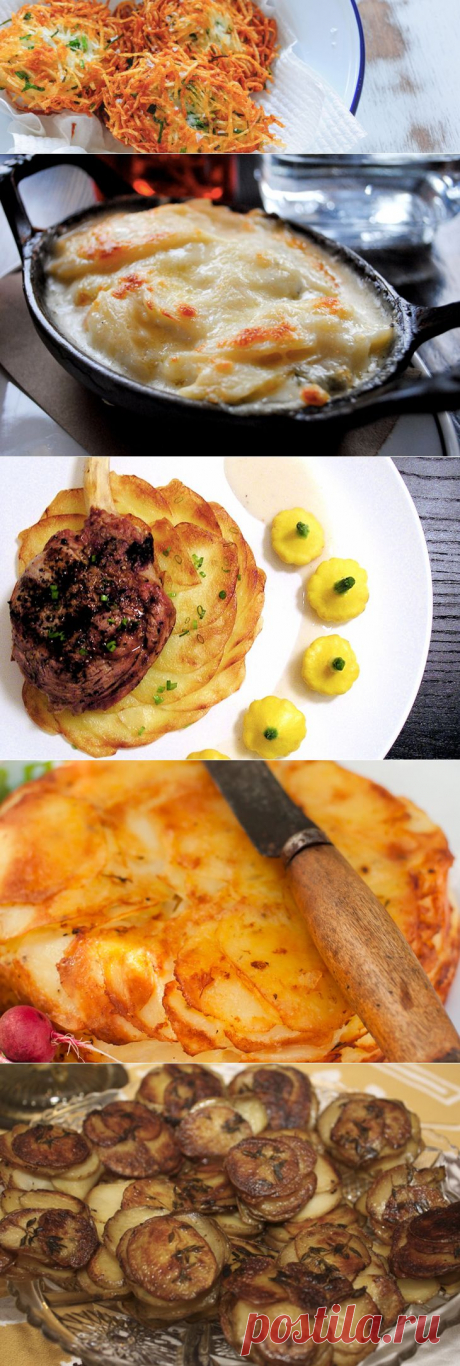 Блюда из картофеля на любой вкус