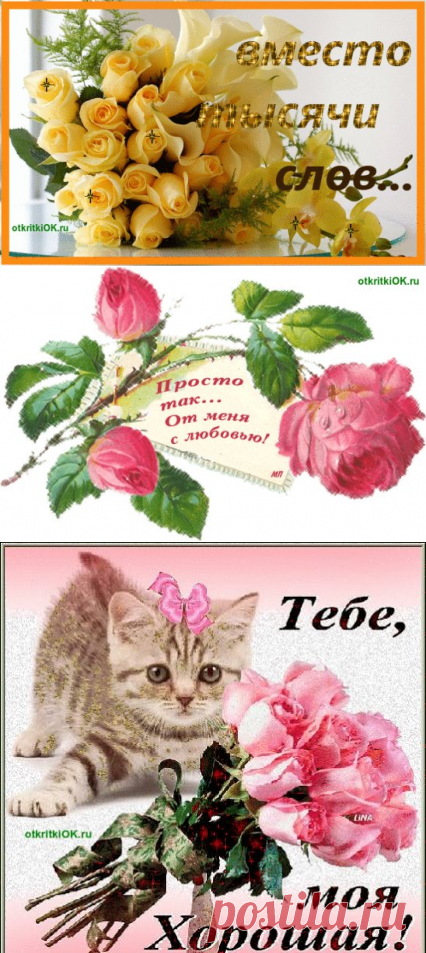 (7) Одноклассники