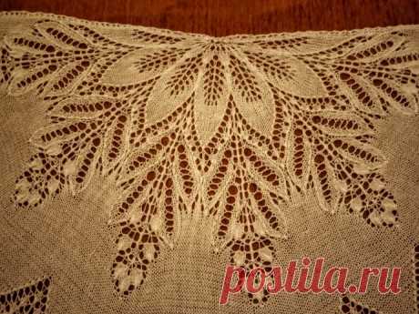 Стыдливая Мимоза