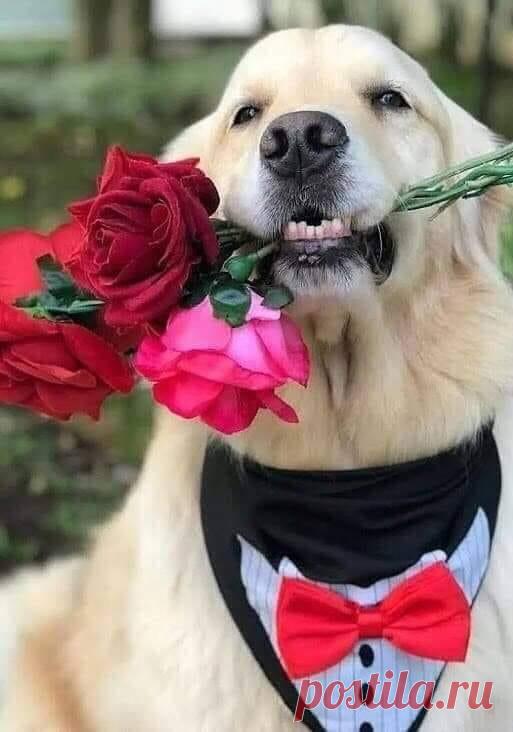 (1) Шарифахон Амаковна