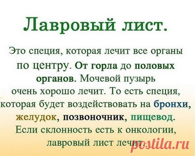 ЛАВРОВЫЙ ЛИСТ В ПОМОЩЬ 
Именно остеохондроз является причиной боли в спине в 80% случаев.
Для тех, у кого застарелый остеохондроз, лучше любых мазей из аптеки помогают средства на основе лаврового листа.
Вот отличные рецепты:
1) Лавровое масло. Залить стаканом оливкового масла 1 ст. ложку мелко нарезанных лавровых листьев и настаивать 15 дней в теплом месте. Лучше всего втирать масло в больные места на ночь, а потом тепло укутываться.
2) Настой. Взять 1 ч. ложку измельченн...