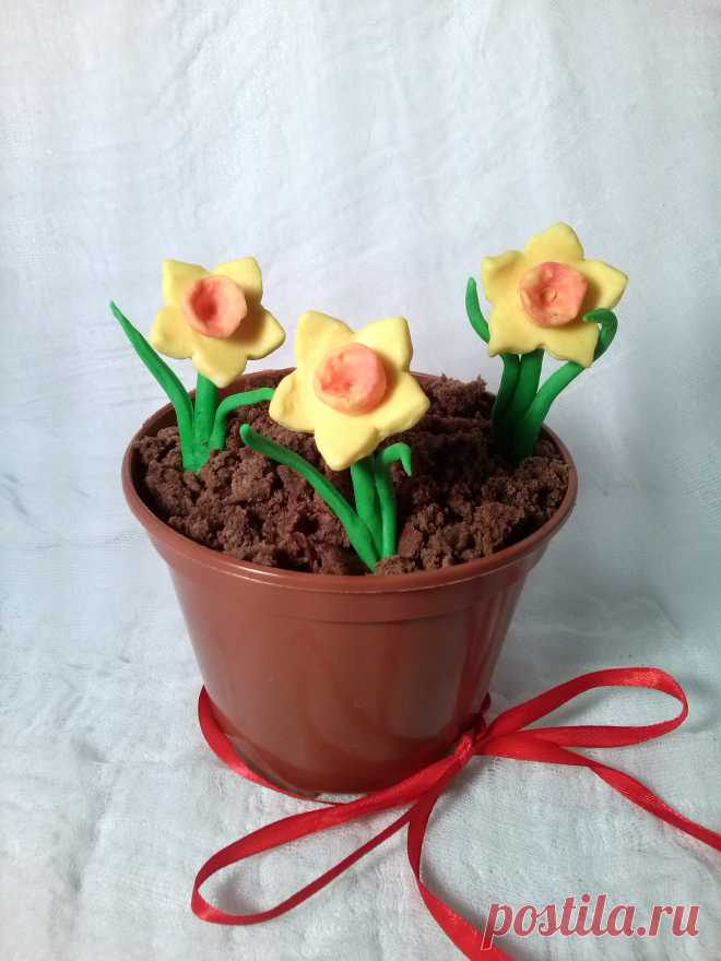 Десерт из шоколадного бисквита, крема и декора из шоколада!