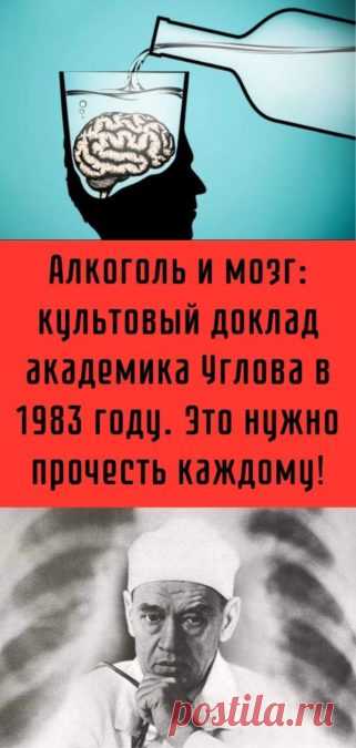 Алкоголь и мозг: культовый доклад академика Углова в 1983 году. Это нужно прочесть каждому! - Кулинария, красота, лайфхаки