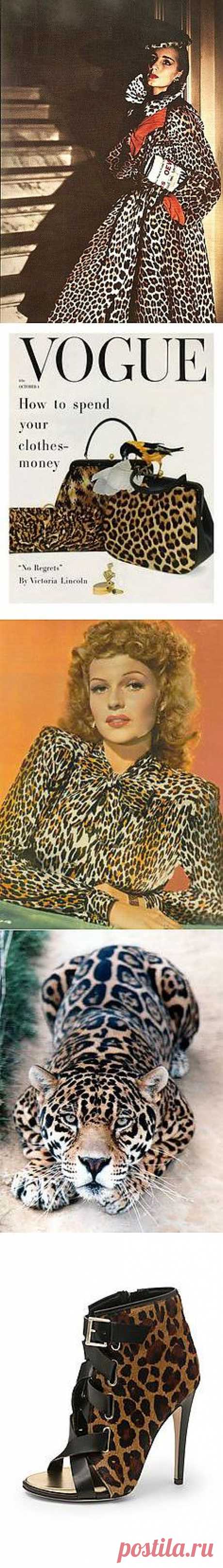 Trend: Leopard
