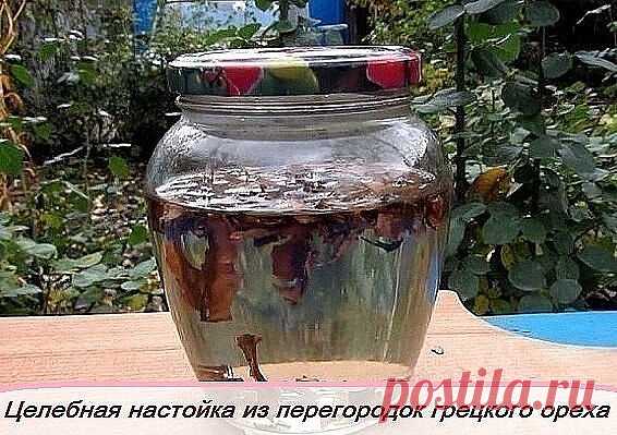 Настойка на перегородках грецкого ореха эффективна при борьбе с таким 
заболеванием как сахарный диабет, радикулит, боль в суставах, при 
затянувшемся расстройстве желудка, для лечения зоба, пяточных шпор, 
ухудшении памяти, головной боли, бессоннице, нервных расстройствах, 
фибромиоме матки, мастопатии.