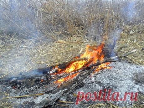 Приглашаем друзей