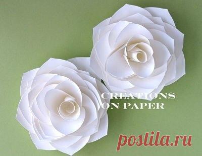 Нежная роза из бумаги