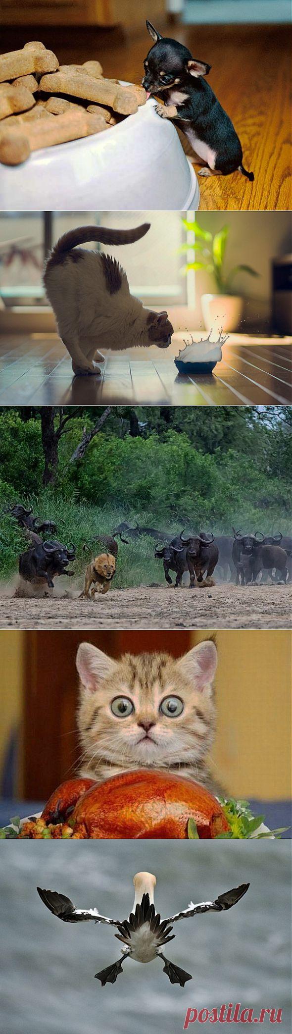 Немного новенького стырНЕТа))))) | ОБОРЖАКА ;)