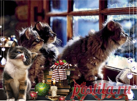 В ожидании чуда.