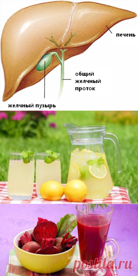 Легкое очищение желчного пузыря!